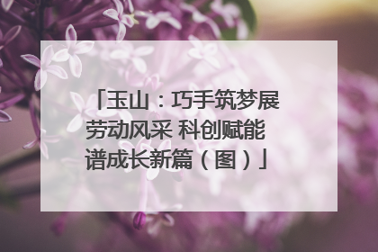 玉山：巧手筑梦展劳动风采 科创赋能谱成长新篇（图）