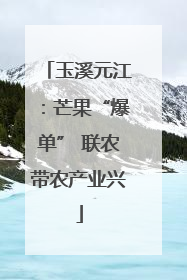 玉溪元江：芒果“爆单” 联农带农产业兴