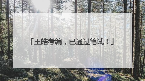 王皓考编，已通过笔试！