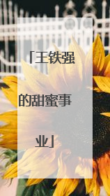 王铁强的甜蜜事业