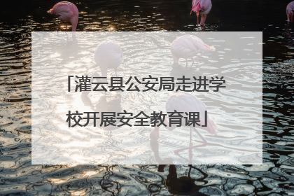 灌云县公安局走进学校开展安全教育课