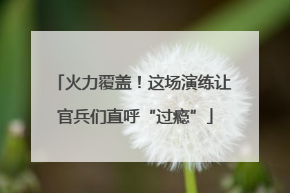 火力覆盖！这场演练让官兵们直呼“过瘾”