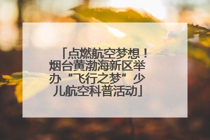 点燃航空梦想！烟台黄渤海新区举办“飞行之梦”少儿航空科普活动