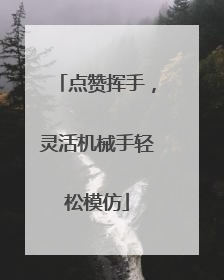 点赞挥手，灵活机械手轻松模仿