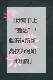 炒鸡节上“整活”！临沂这所新高校为何如此出圈