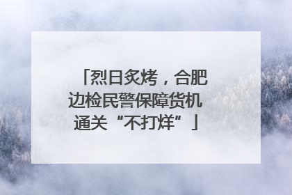 烈日炙烤，合肥边检民警保障货机通关“不打烊”