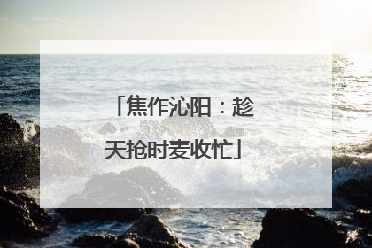 焦作沁阳：趁天抢时麦收忙
