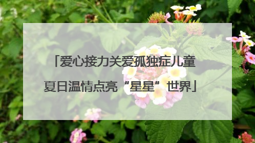 爱心接力关爱孤独症儿童 夏日温情点亮“星星”世界
