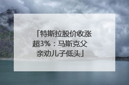特斯拉股价收涨超3%：马斯克父亲劝儿子低头