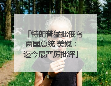 特朗普猛批俄乌两国总统 美媒：迄今最严厉批评