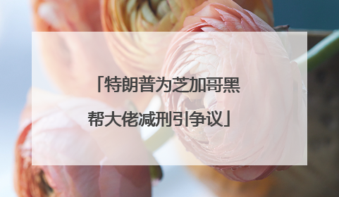 特朗普为芝加哥黑帮大佬减刑引争议