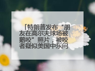 特朗普发布“朋友在高尔夫球场被鹅咬”照片，被咬者疑似美国中东问题特使