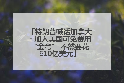 特朗普喊话加拿大：加入美国可免费用“金穹” 不然要花610亿美元