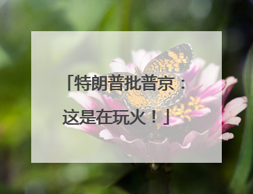 特朗普批普京：这是在玩火！