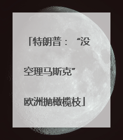 特朗普：“没空理马斯克” 欧洲抛橄榄枝