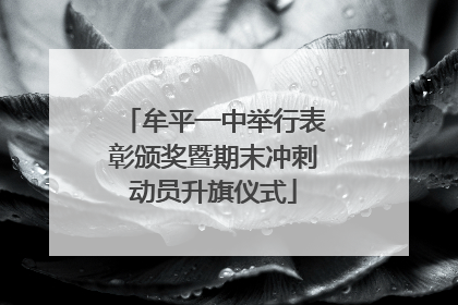牟平一中举行表彰颁奖暨期末冲刺动员升旗仪式