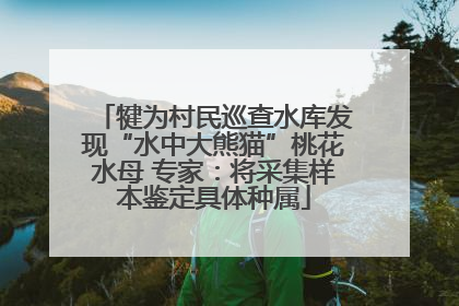 犍为村民巡查水库发现“水中大熊猫”桃花水母 专家：将采集样本鉴定具体种属