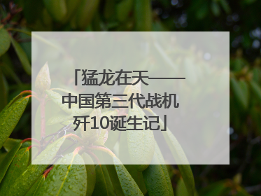 猛龙在天——中国第三代战机歼10诞生记