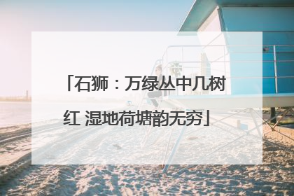石狮：万绿丛中几树红 湿地荷塘韵无穷