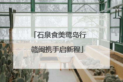 石泉食美鹭岛行 赣闽携手启新程