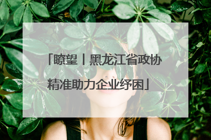 瞭望丨黑龙江省政协精准助力企业纾困