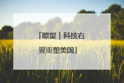 瞭望｜科技右翼重塑美国
