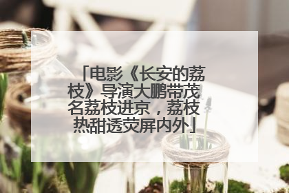 电影《长安的荔枝》导演大鹏带茂名荔枝进京，荔枝热甜透荧屏内外