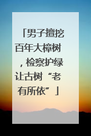 男子擅挖百年大樟树，检察护绿让古树“老有所依”