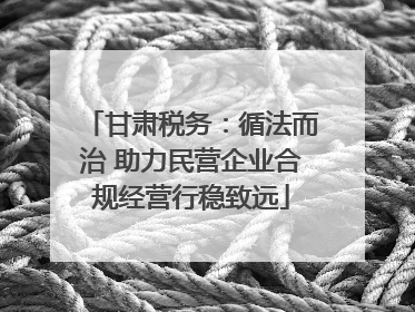 甘肃税务：循法而治 助力民营企业合规经营行稳致远