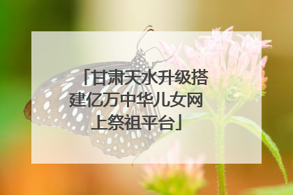 甘肃天水升级搭建亿万中华儿女网上祭祖平台