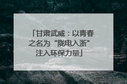 甘肃武威：以青春之名为“陇电入浙”注入环保力量
