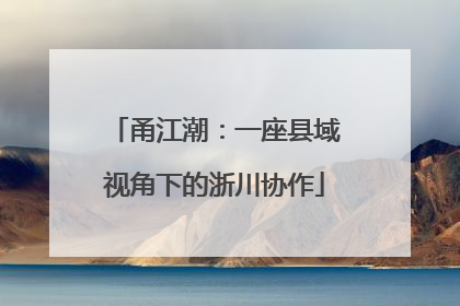 甬江潮：一座县域视角下的浙川协作