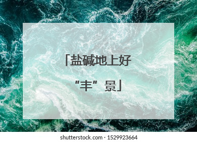 盐碱地上好“丰”景