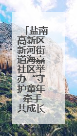 盐南高新区新河街道海嘉社区举办“守护童年 牵手共成长”主题活动