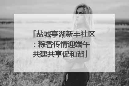 盐城亭湖新丰社区：粽香传情迎端午 共建共享促和谐