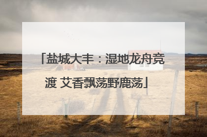 盐城大丰：湿地龙舟竞渡 艾香飘荡野鹿荡