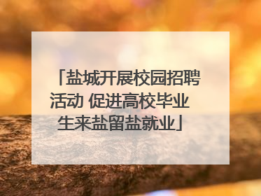 盐城开展校园招聘活动 促进高校毕业生来盐留盐就业