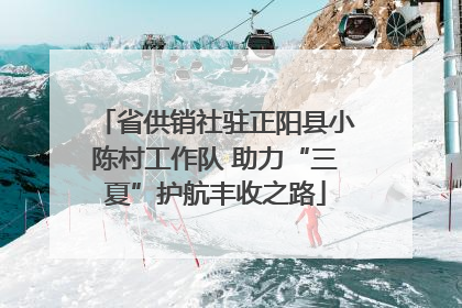 省供销社驻正阳县小陈村工作队 助力“三夏”护航丰收之路