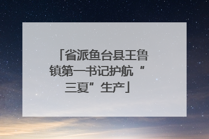 省派鱼台县王鲁镇第一书记护航“三夏”生产
