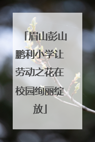 眉山彭山鹏利小学让劳动之花在校园绚丽绽放