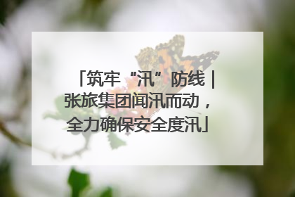 筑牢“汛”防线｜张旅集团闻汛而动，全力确保安全度汛