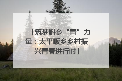 筑梦斛乡“青”力量：太平畈乡乡村振兴青春进行时
