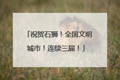 祝贺石狮！全国文明城市！连续三届！