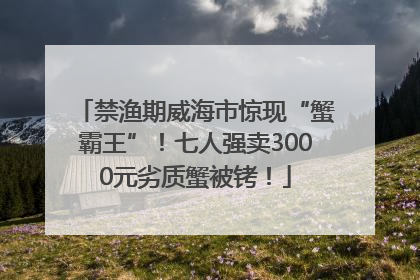 禁渔期威海市惊现“蟹霸王”！七人强卖3000元劣质蟹被铐！
