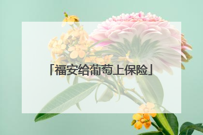福安给葡萄上保险