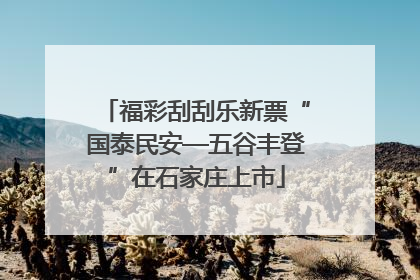 福彩刮刮乐新票“国泰民安—五谷丰登”在石家庄上市