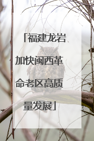 福建龙岩加快闽西革命老区高质量发展