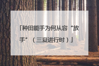 种田能手为何从容“放手”（三夏进行时）