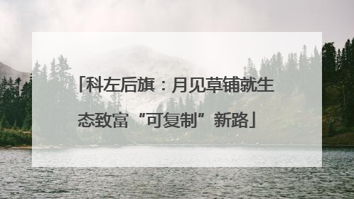 科左后旗：月见草铺就生态致富“可复制”新路