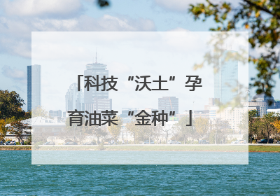 科技“沃土”孕育油菜“金种”